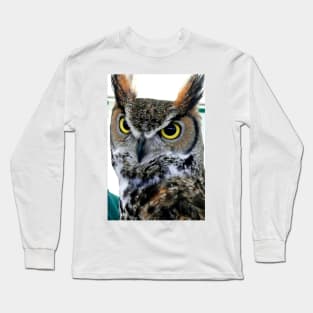 Great Horned Owl Bird Of Prey Long Sleeve T-Shirt